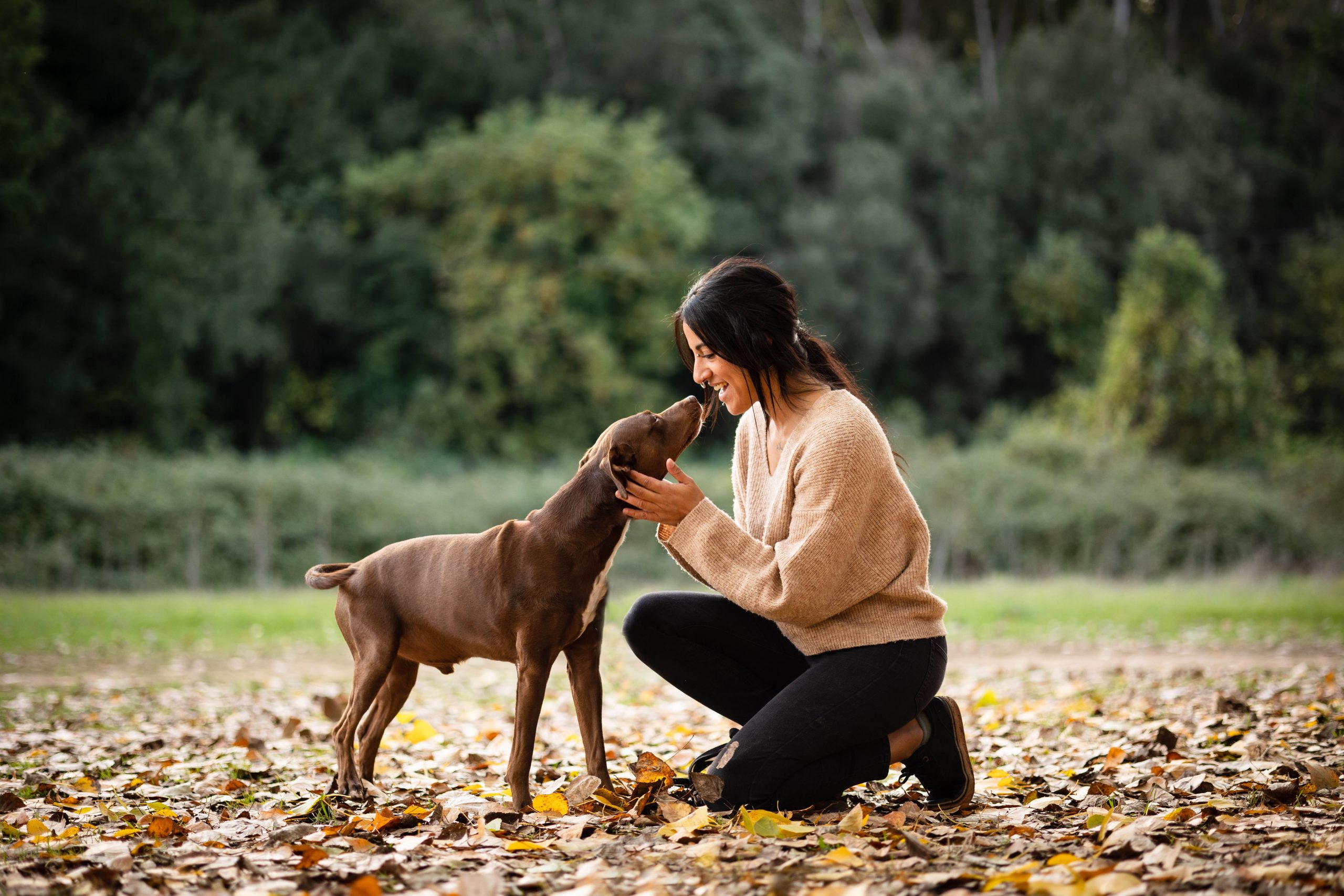 reportaje-fotos-perro-exterior-parque-barcelona