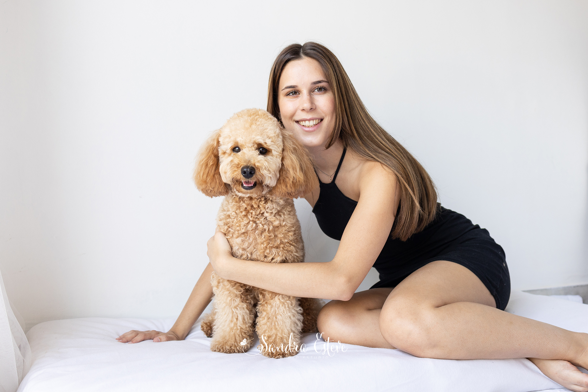 sesion-fotos-caniche-marron-estudio-perro-granollers