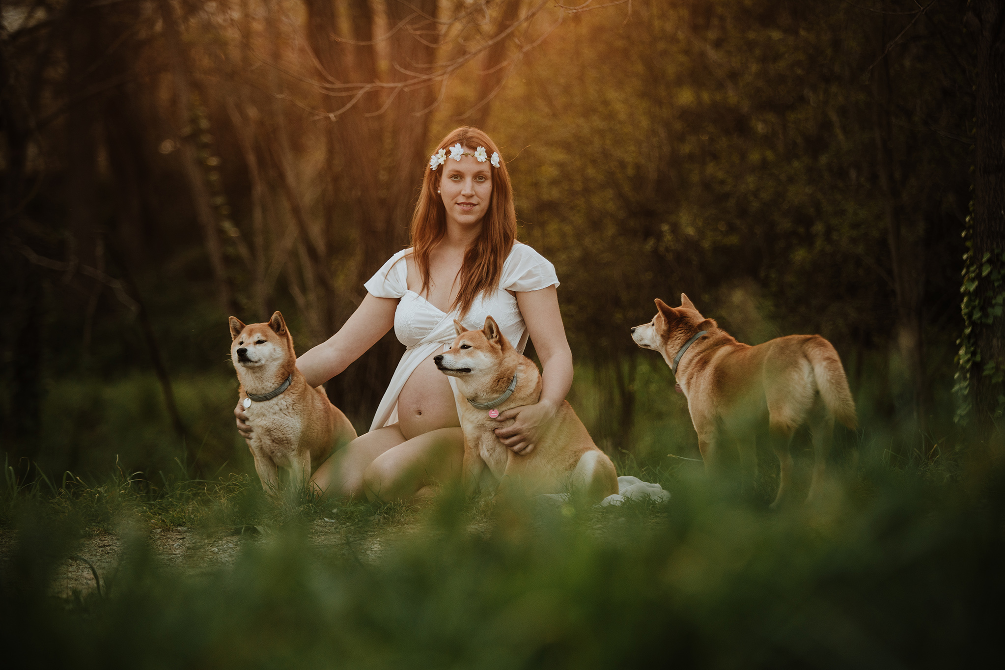 sesion-fotos-embarazada-shiba-inu-mama-soltera-barcelona