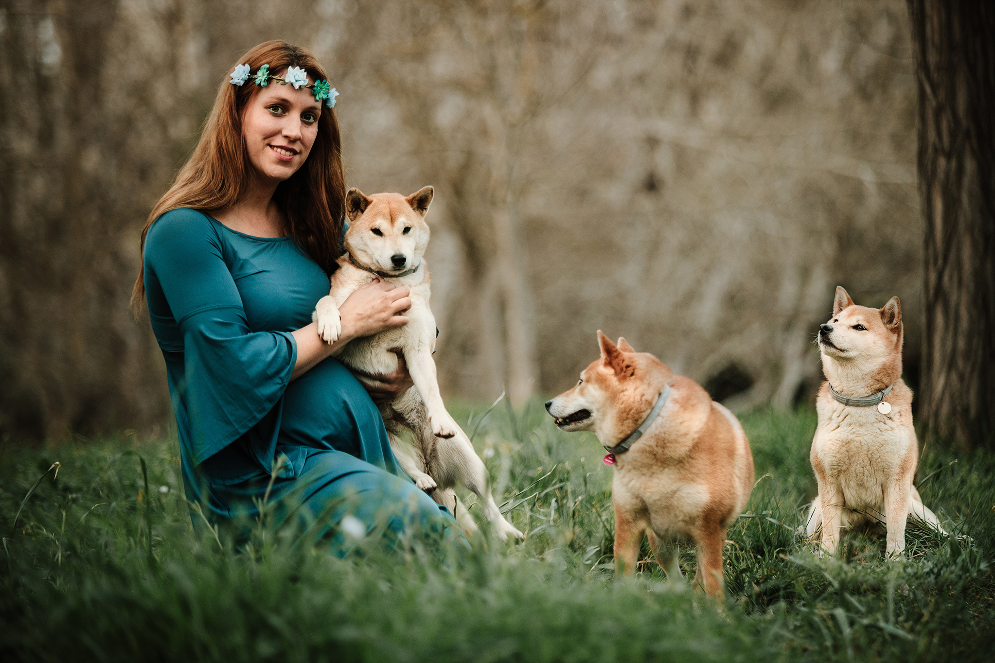 sesion-fotos-embarazada-shiba-inu-mama-soltera-sant-cugat