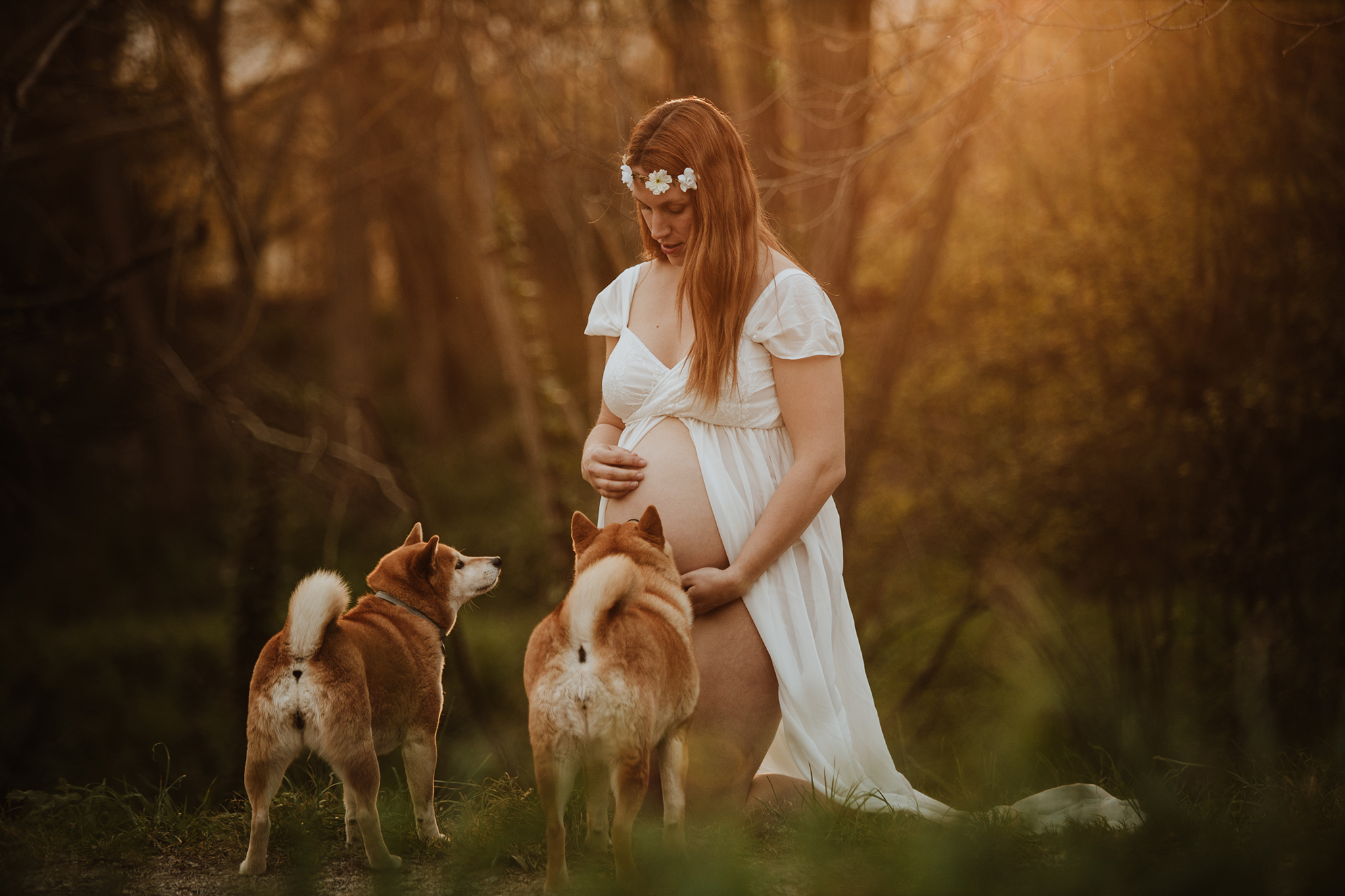 sesion-fotos-embarazada-shiba-inu-mama-soltera